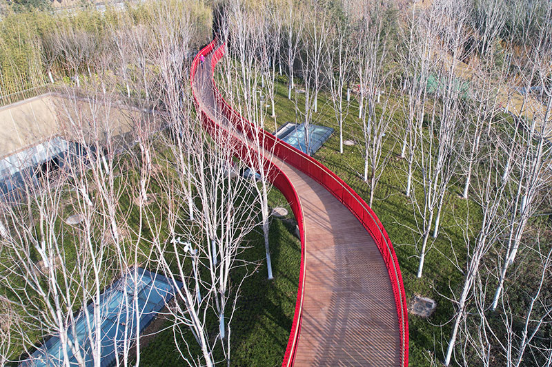 林梢棧道俯瞰 林梢棧道俯瞰